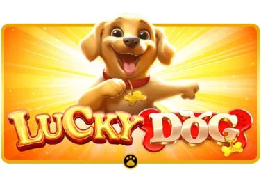 hub71 Hub71 ke slots: provider variety, fair mechanics, aur aapka account